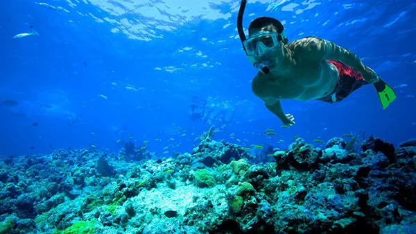 snorkel-key-west-6-1300x731.jpg