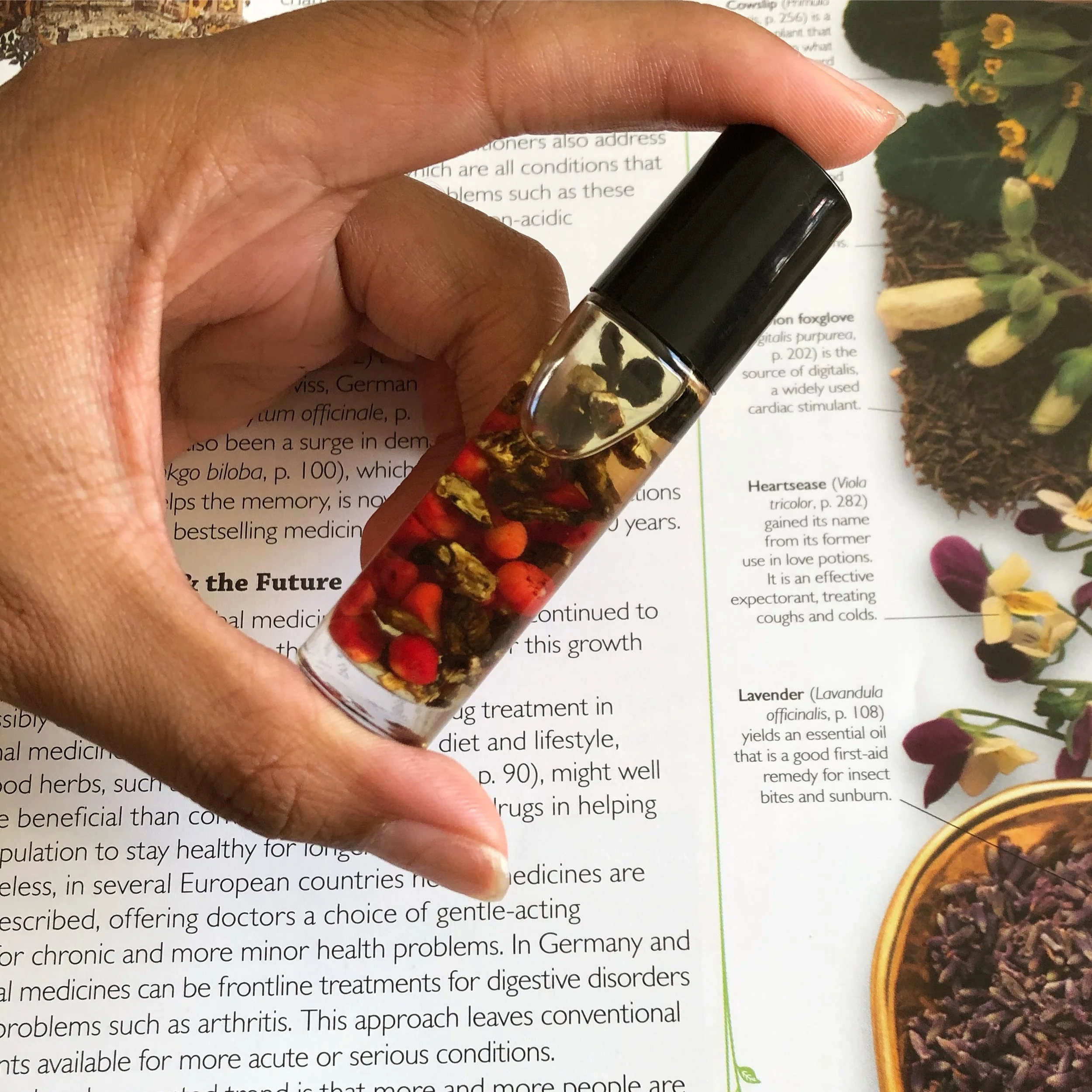 E40F0B03-B0E9-45C8-875A-7C047F65C738