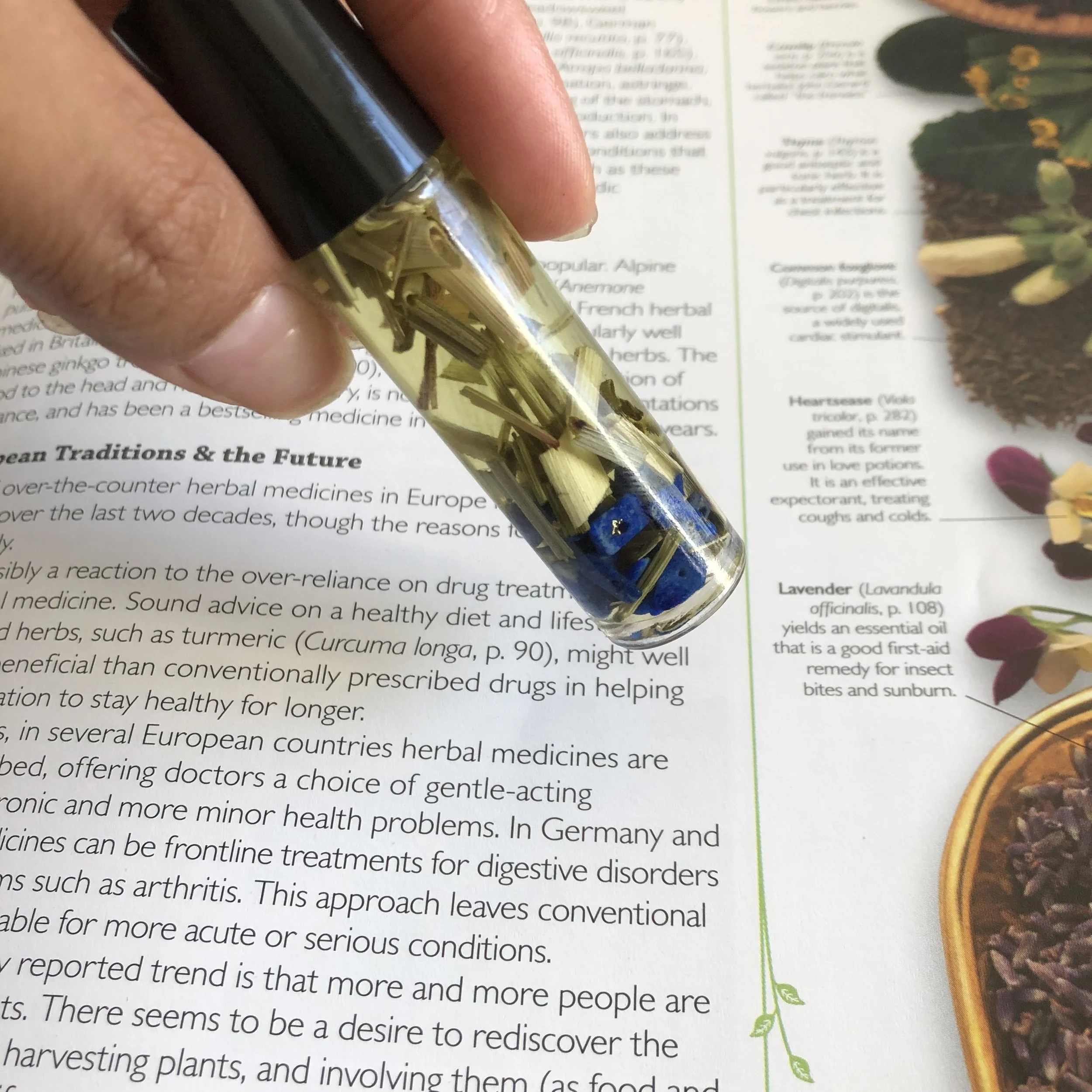 84D8FE06-AFAF-4287-B391-4C265D4E9C3F