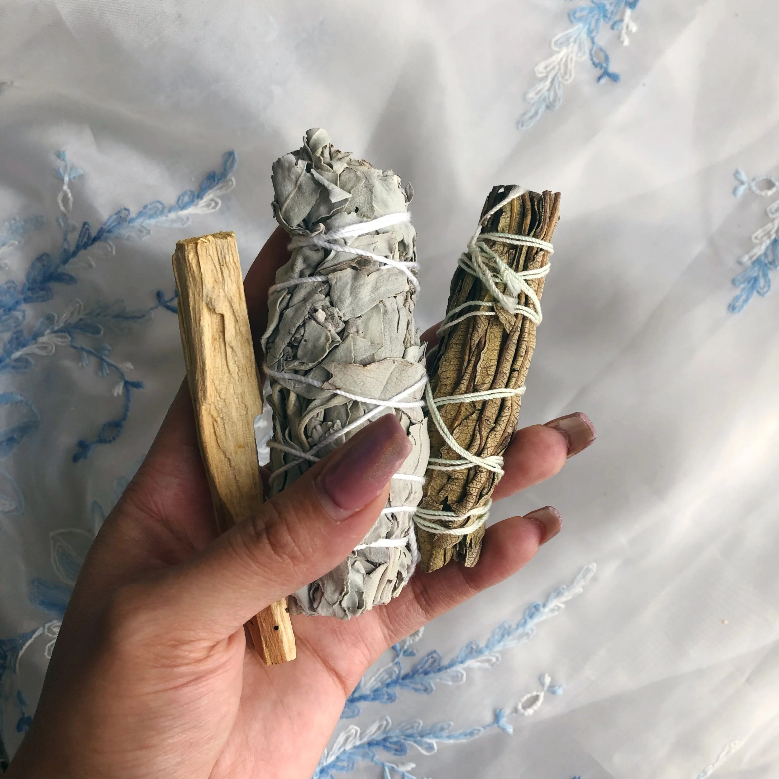 2CF929ED-3193-4E21-9835-0666A61D8C3D