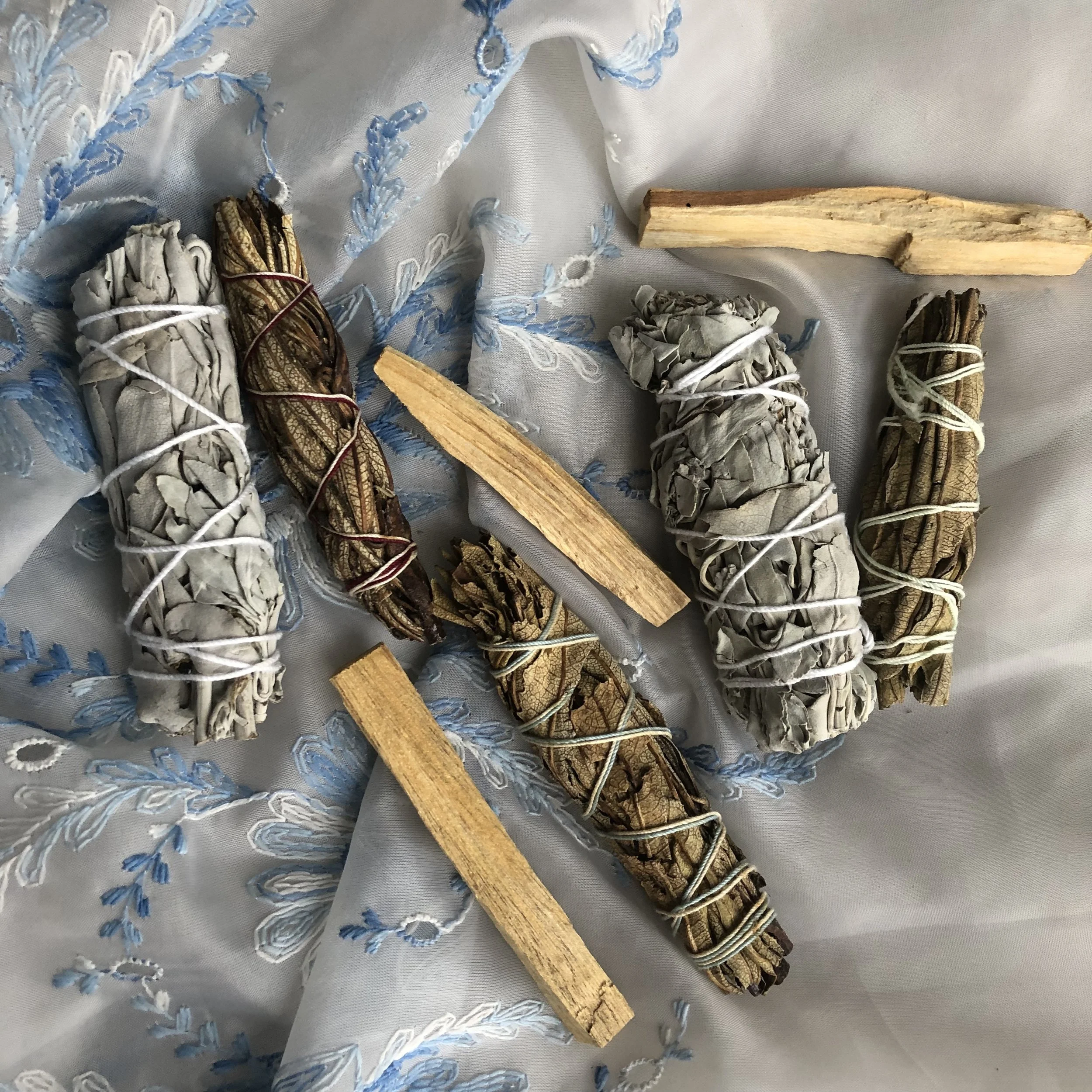 B1E6350C-6FC5-4F8D-A39E-4F7D28396E31