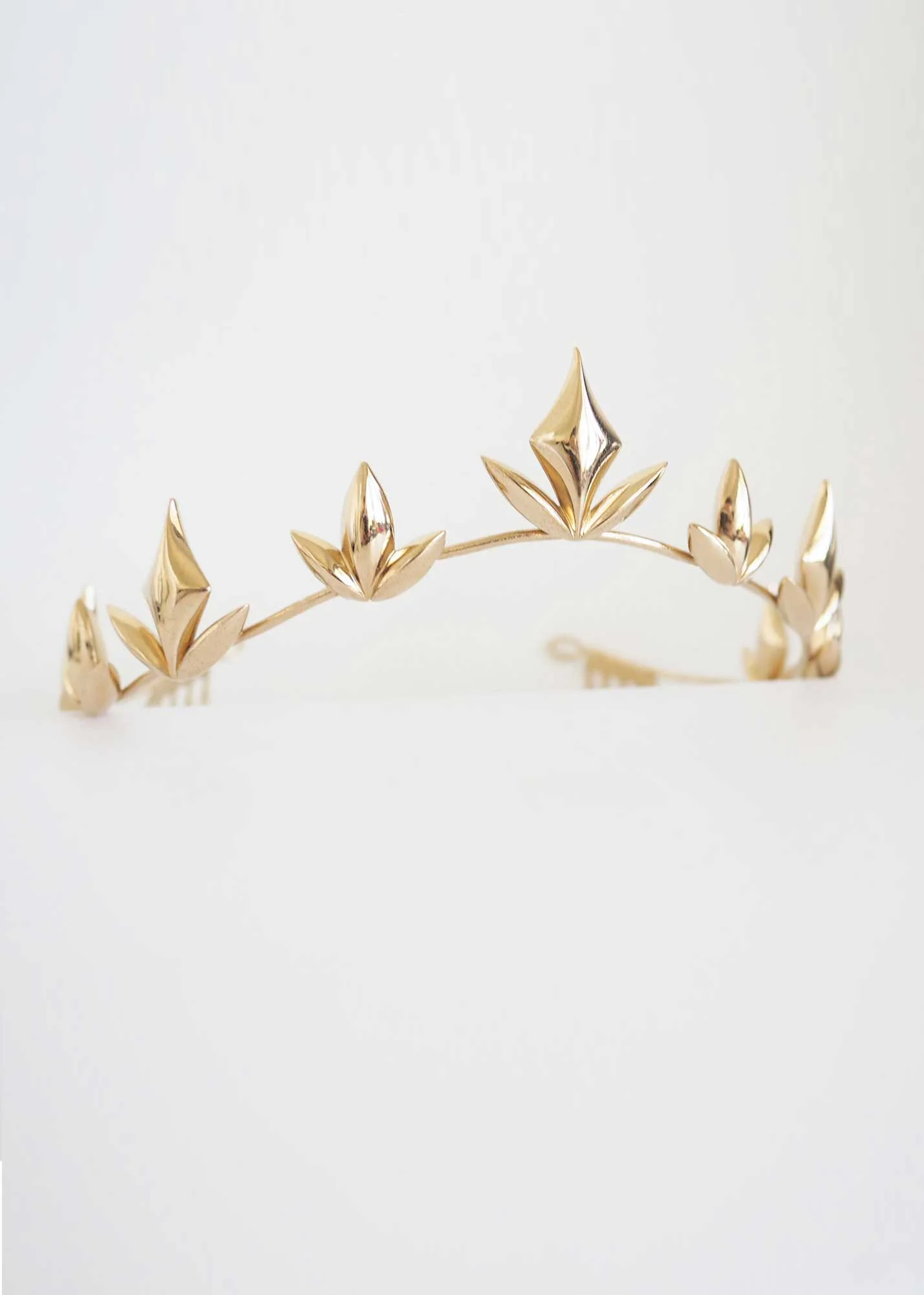 alexa-gold-ecomm1.jpg