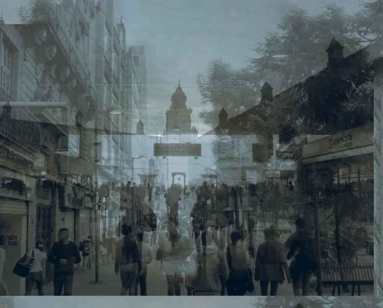 Transit Magnified Detail.jpg