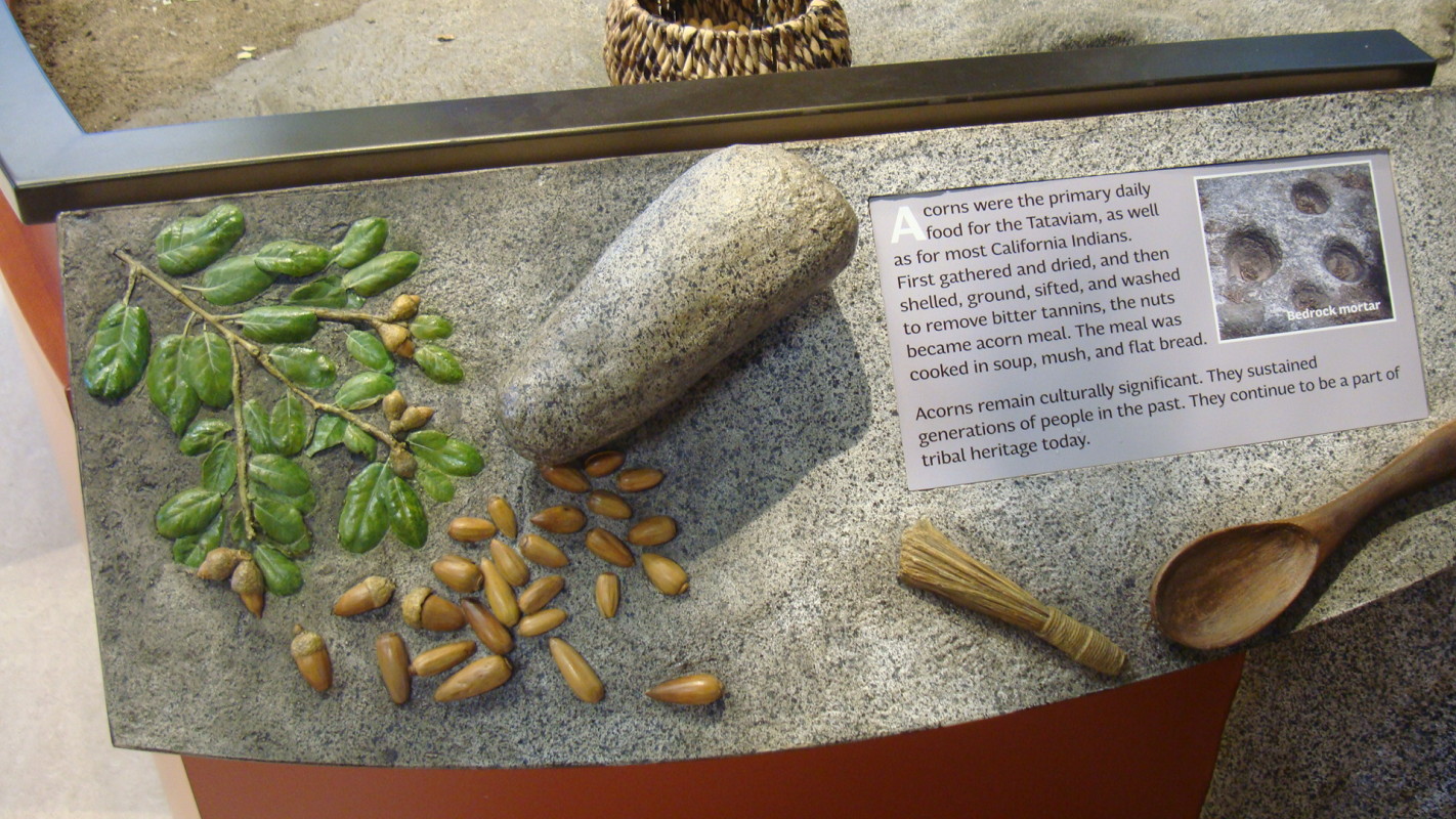This three dimensional touchable graphic panel tells the story of how the indigenous Tataviam people harvested and prepared acorns as a food staple.