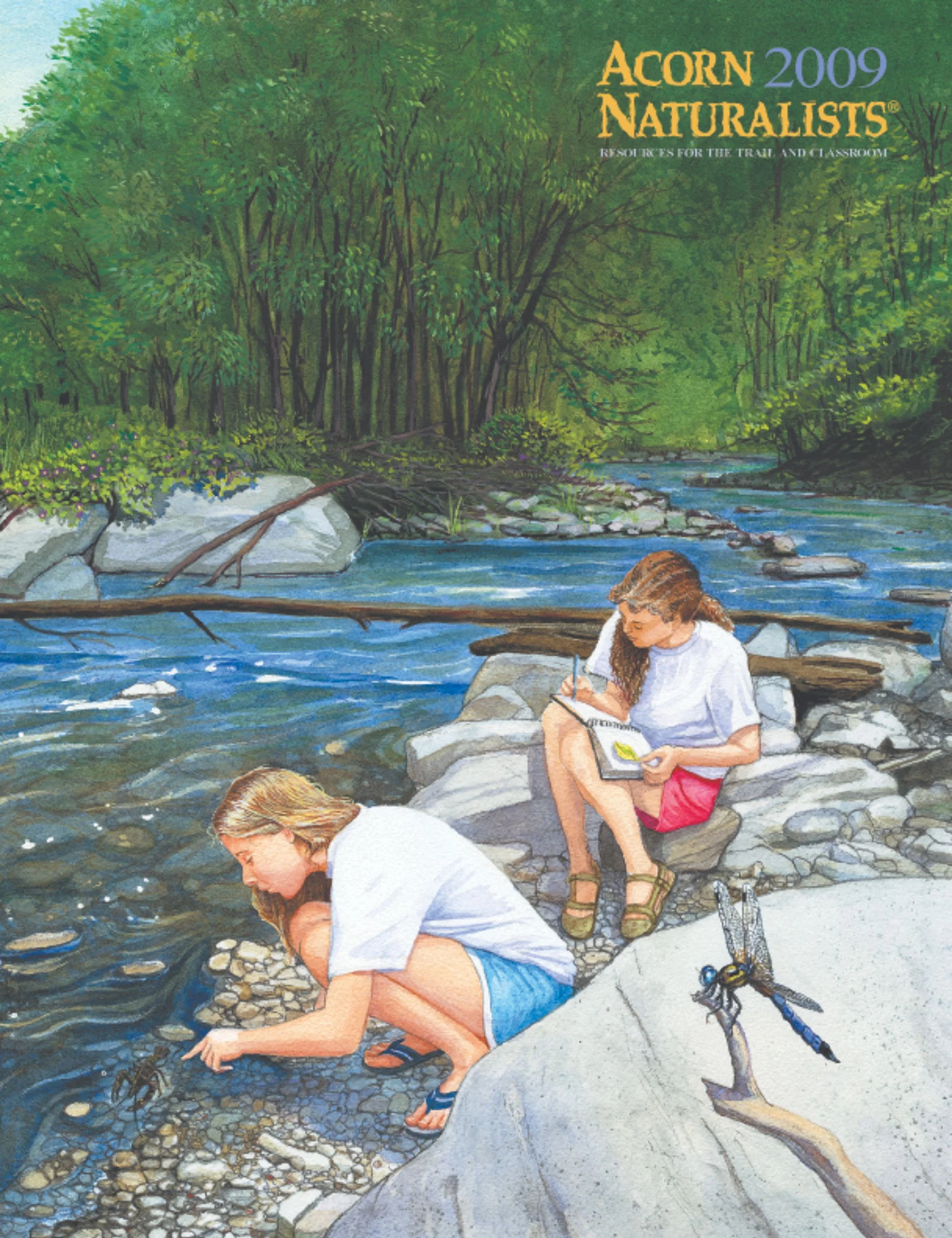 Acorn Naturalists Catalog Cover for 2009. Watercolor.