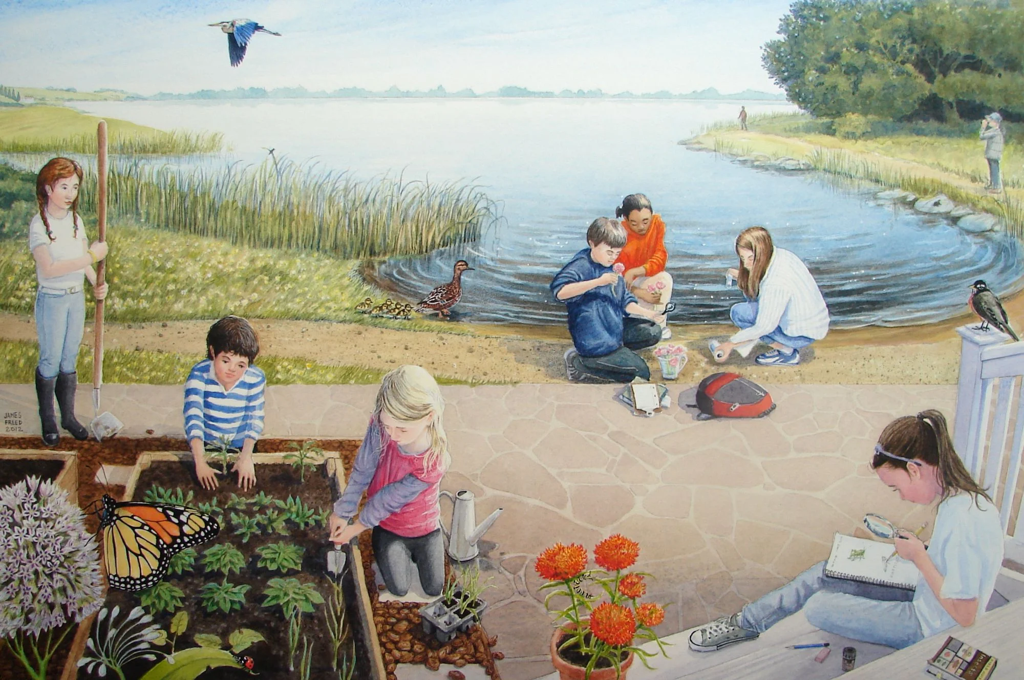 Acorn Naturalists Catalog Cover for 2012, full sheet of artwork showing front and back covers.