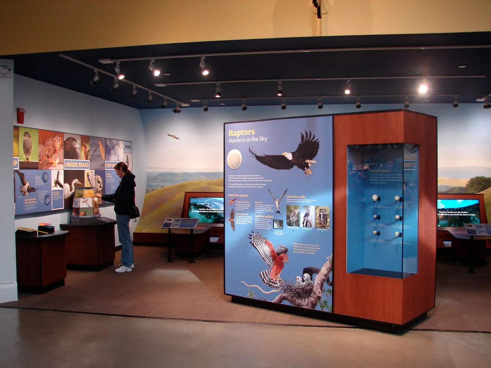 The Lindsay Wildlife Experience