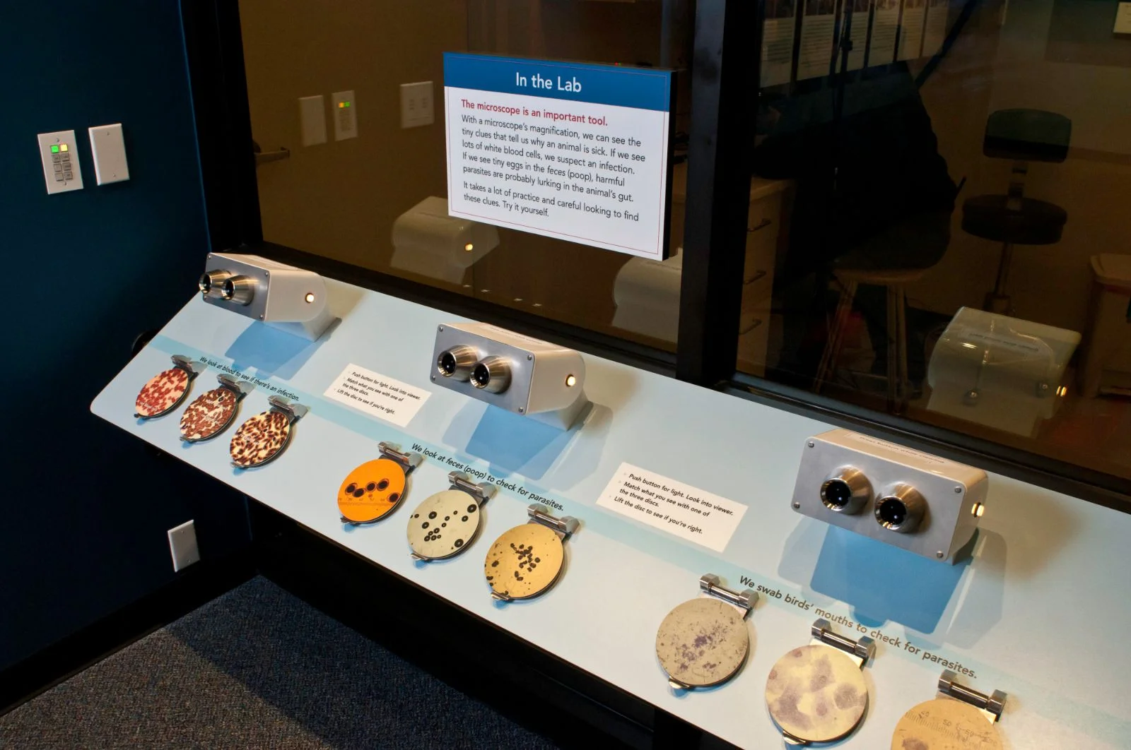 Simulated microscopes allow the visitor to see what different animal disease vectors look like up close.