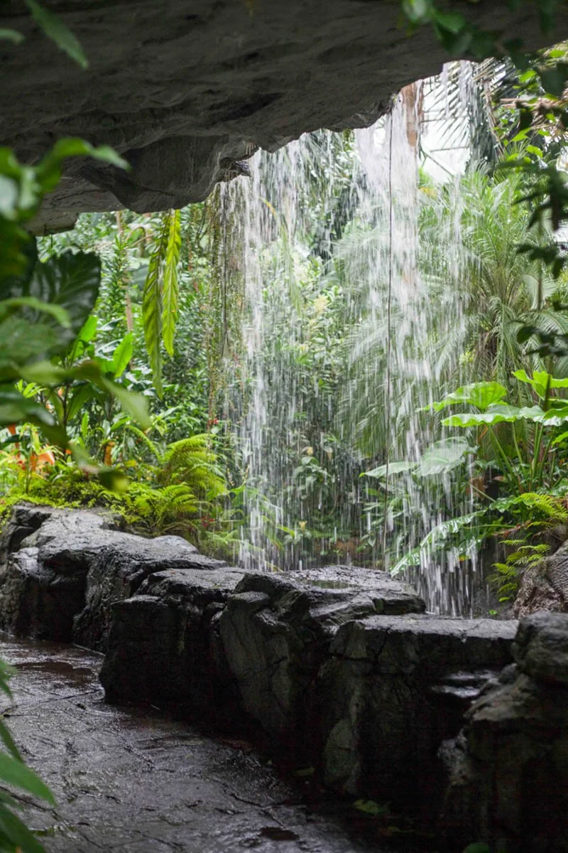 007CLM_CoveredWaterfall_2011_AMBE002.jpg