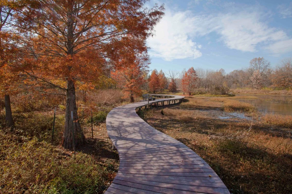 018SNR_Boardwalk_FallSunnyDay_2011_AMBE200.jpg