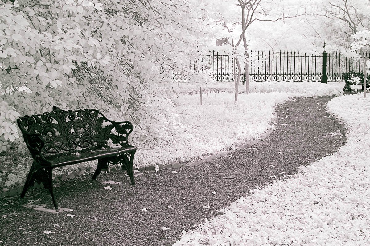 020EWG_Bench_Infrared_2011_Print.jpg