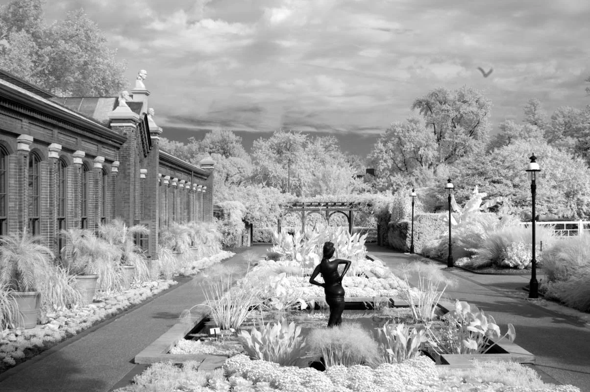 LH_Outside_Infrared_2011_AMBE001.jpg