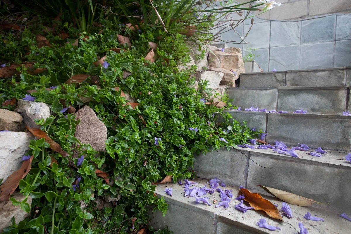 011Stairs.jpg