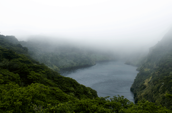 Flores-Lake2.gif