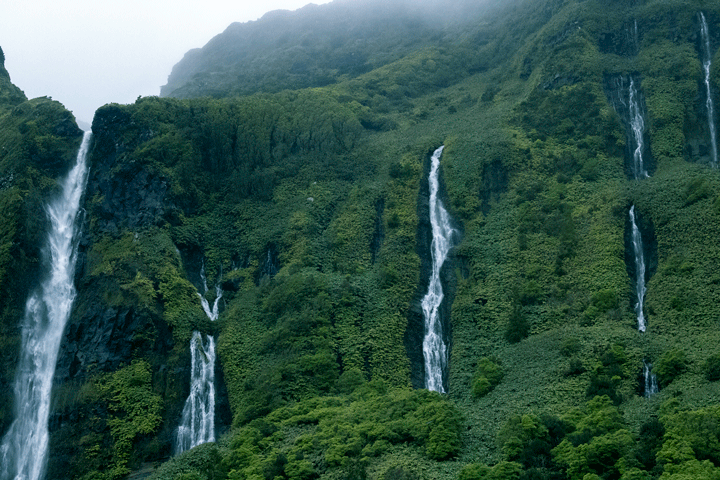 Flores_Waterfall-filter.gif