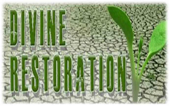 “Restoration from Brokenness”