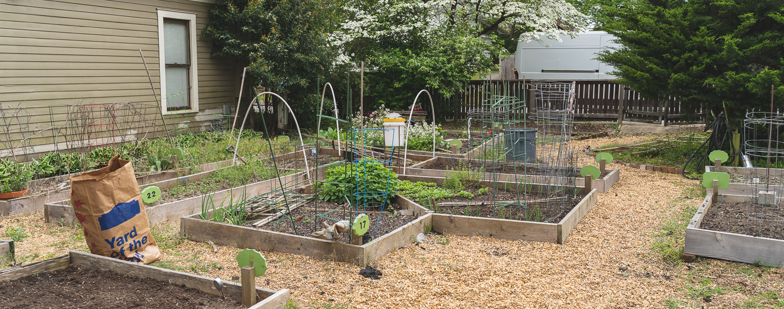 Community Garden Membership Cabbagetown Atlanta