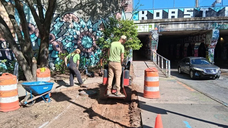 Cabbagetown Wylie Street 2026 13 m.jpg