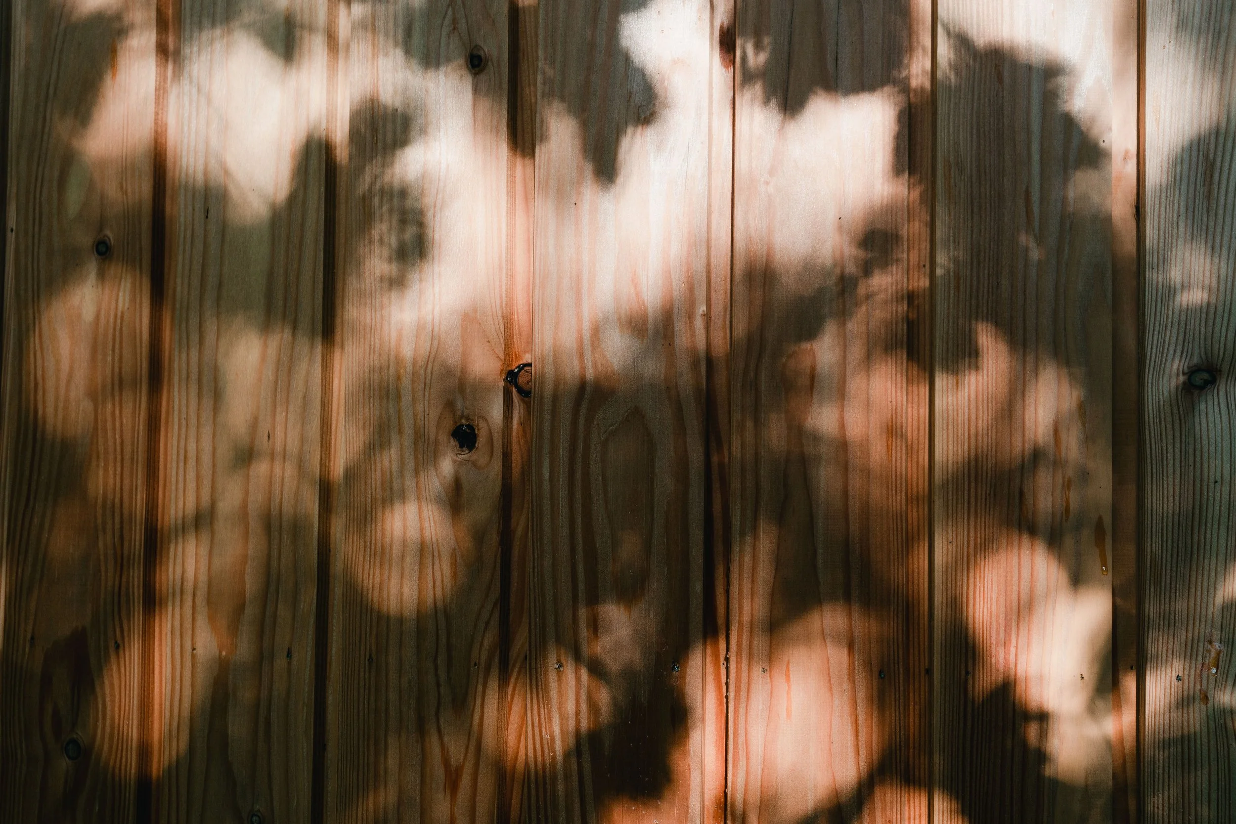MATTCANNON_WILDSPACE_RNR_047.jpg