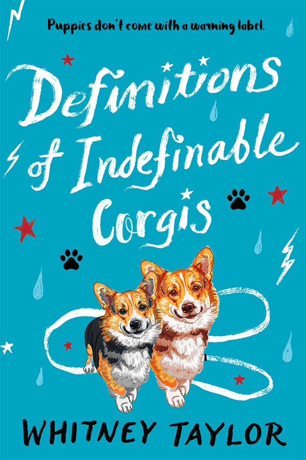 infinite corgis