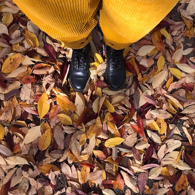 sorry it&rsquo;s my first fall back in MA, I had to do it..... 💛🧡❤️ also I saw a bear yesterday on my way to the shop so that was pretty cool 😎 #littlefeetbigattitude