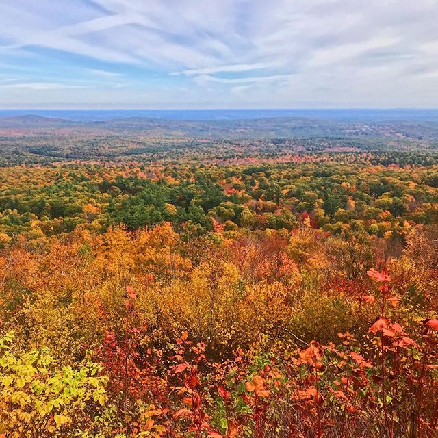 leaf peepin&rsquo; 🍁👀