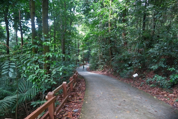 LHOKO+BukitTimah+.jpeg
