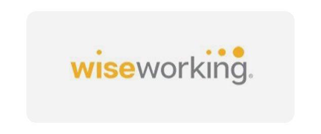 Wiseworking_Logo_1.jpg