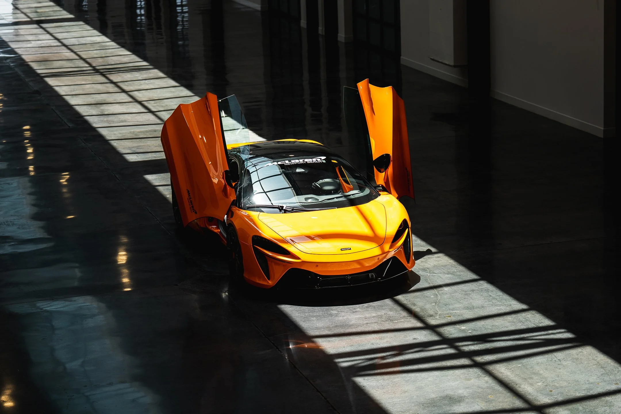 JIV03975.JPG