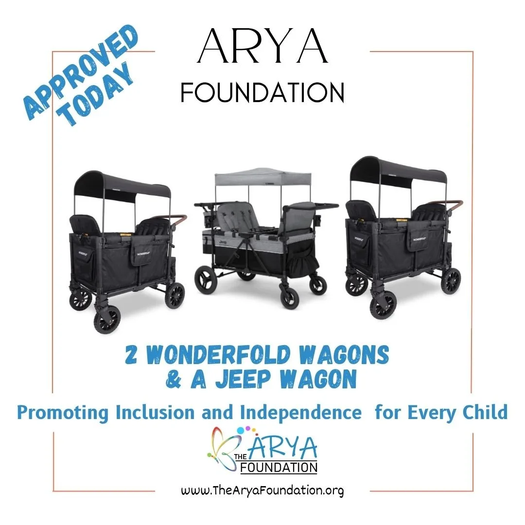The Arya Foundation is dedicated to making a positive impact on the lives of children, and your support is truly invaluable to us. Your generous donations are enabling us to provide children with unforgettable experiences. We are incredibly grateful 