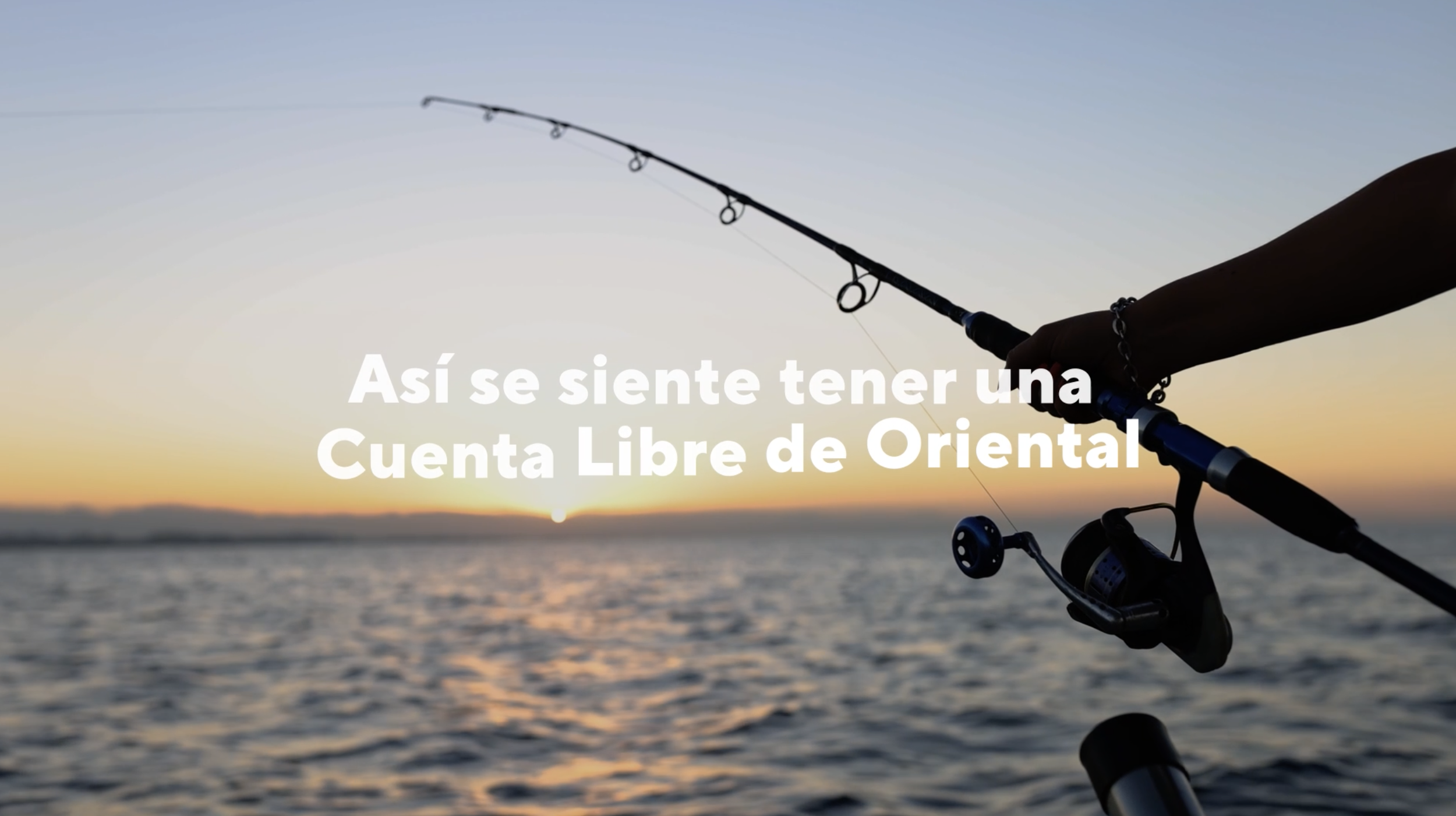 Screenshot 2024-01-11 at 3.16.21 PM.png