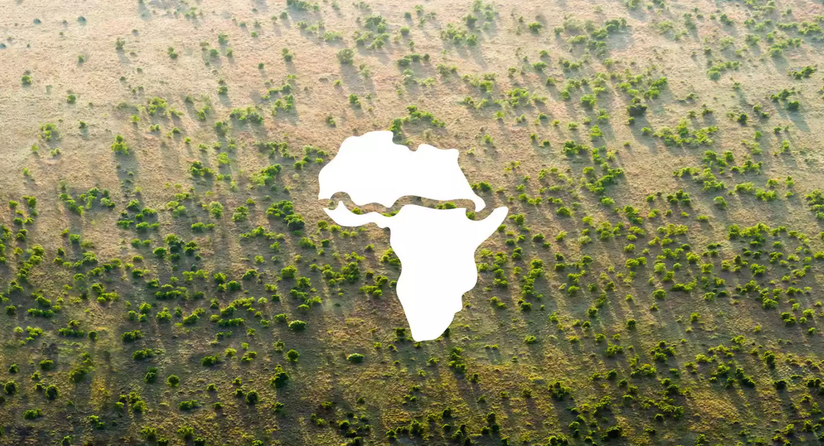 Africans are Planting a 6,000 Mile Wall of Trees Across the Entire Width of the Continent