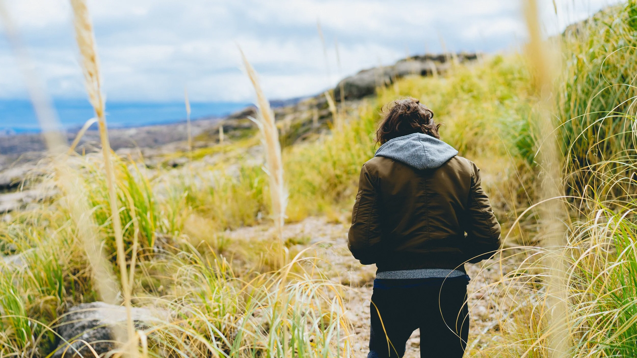 Photo by Dan Gold on Unsplash