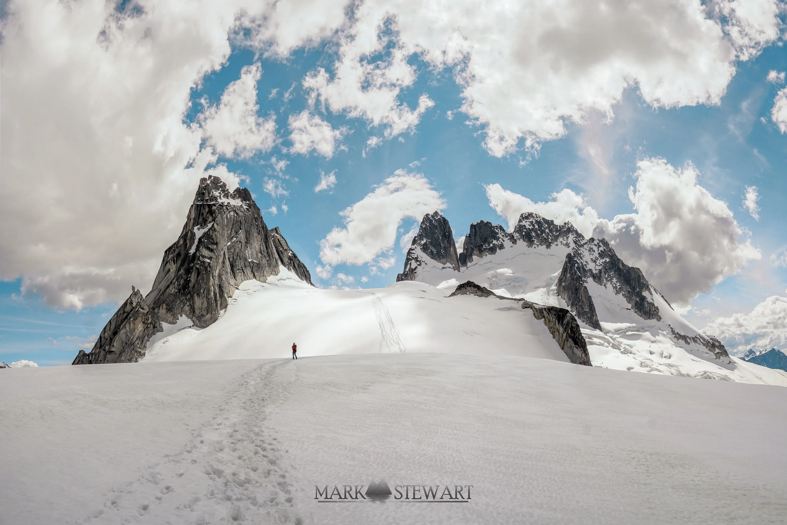 bugs heaven clouds_.jpg