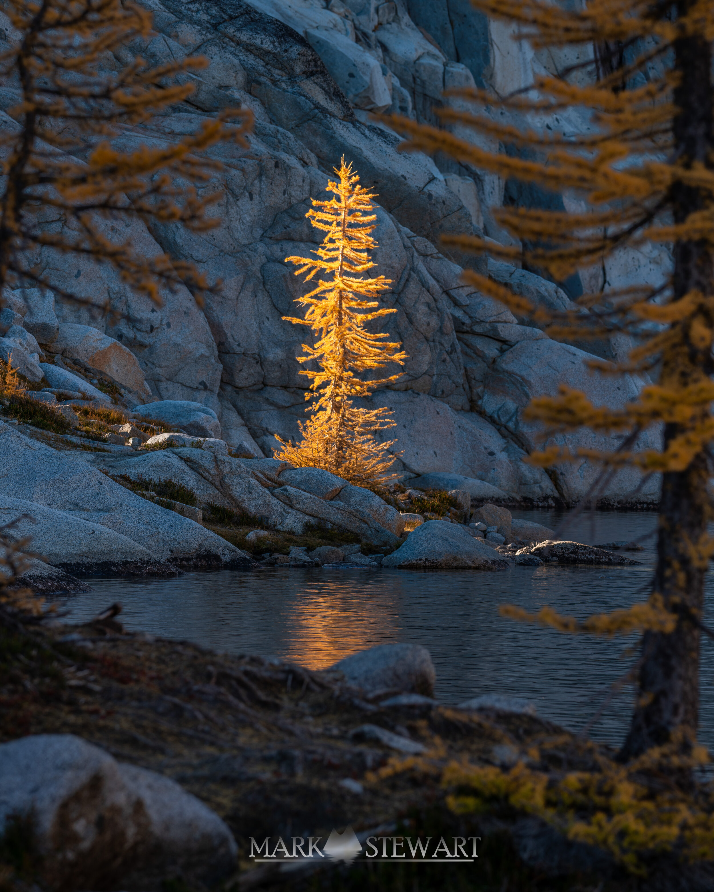 light larch frame_.jpg