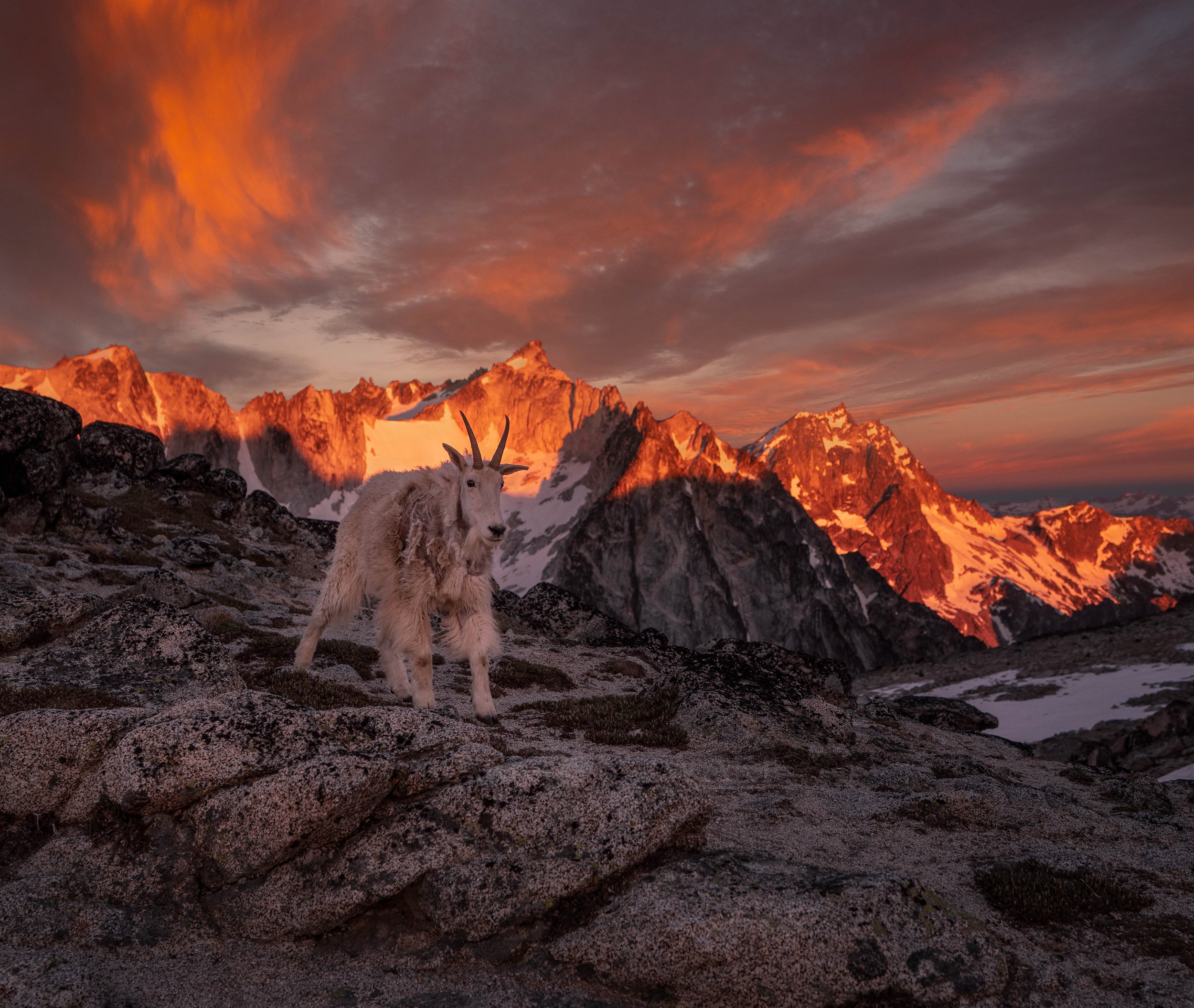 King Of The Enchantments