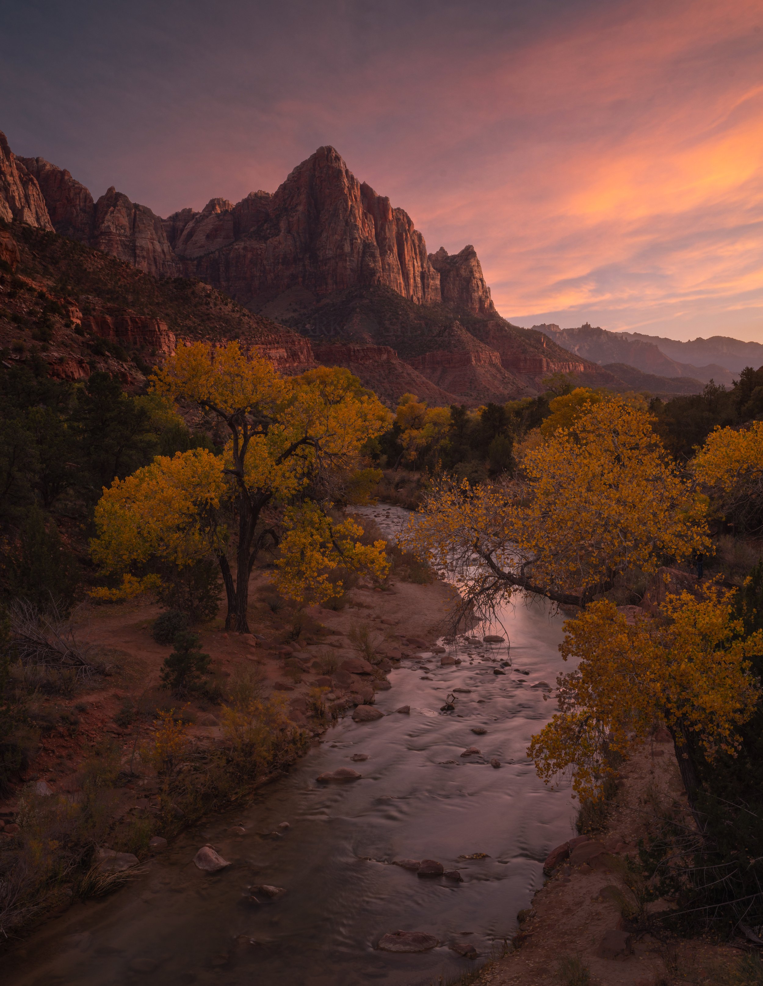 The Watchman