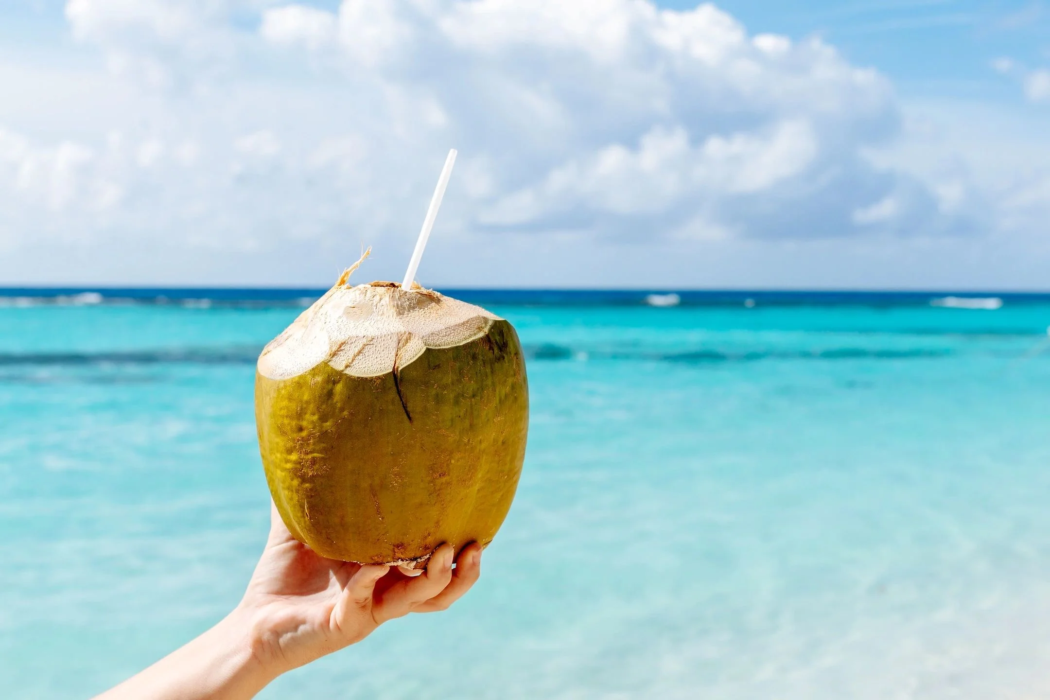 BLUE FOOD FESTIVAL TOBAGO