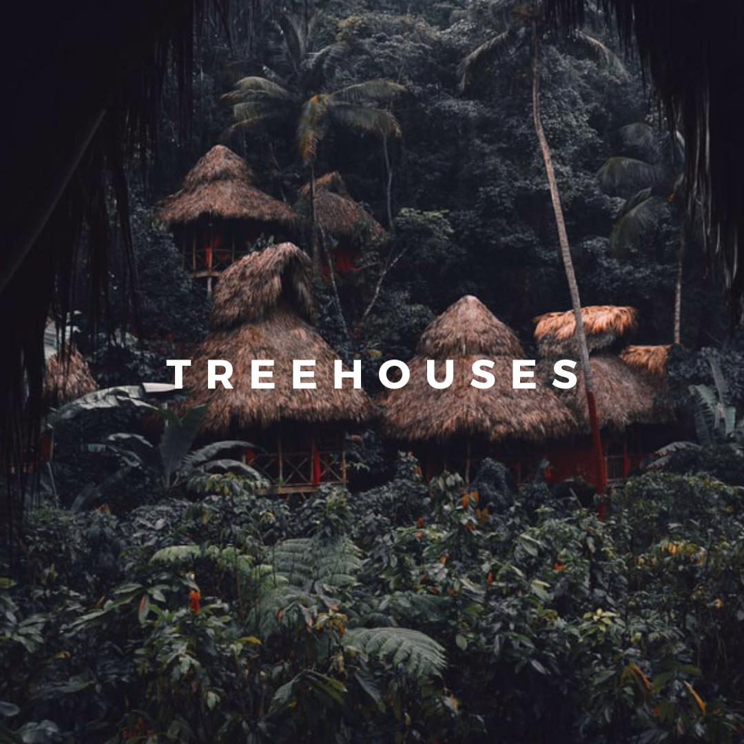 Beautiful Chaos Travel Festivals Culture Treehouses.png