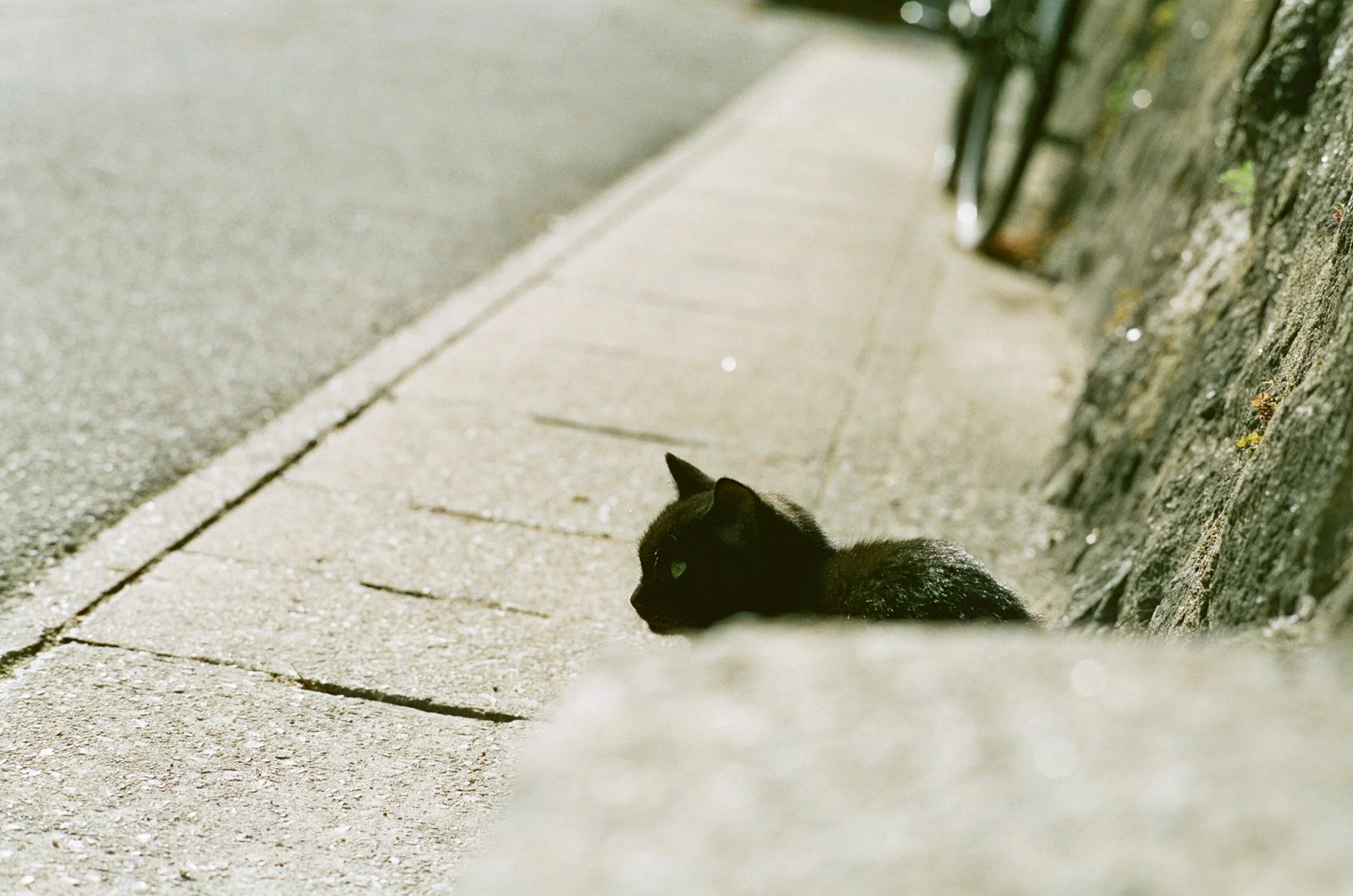 写真 2017-11-16 21 33 39.jpg