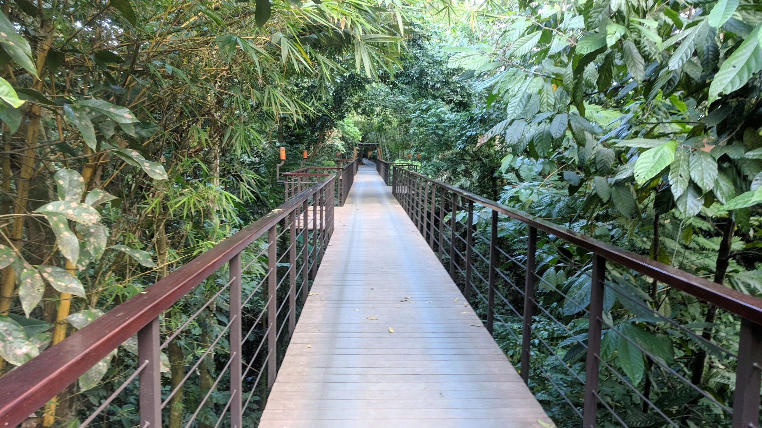 A bridge connected Nayara Springs with it’s sister property.