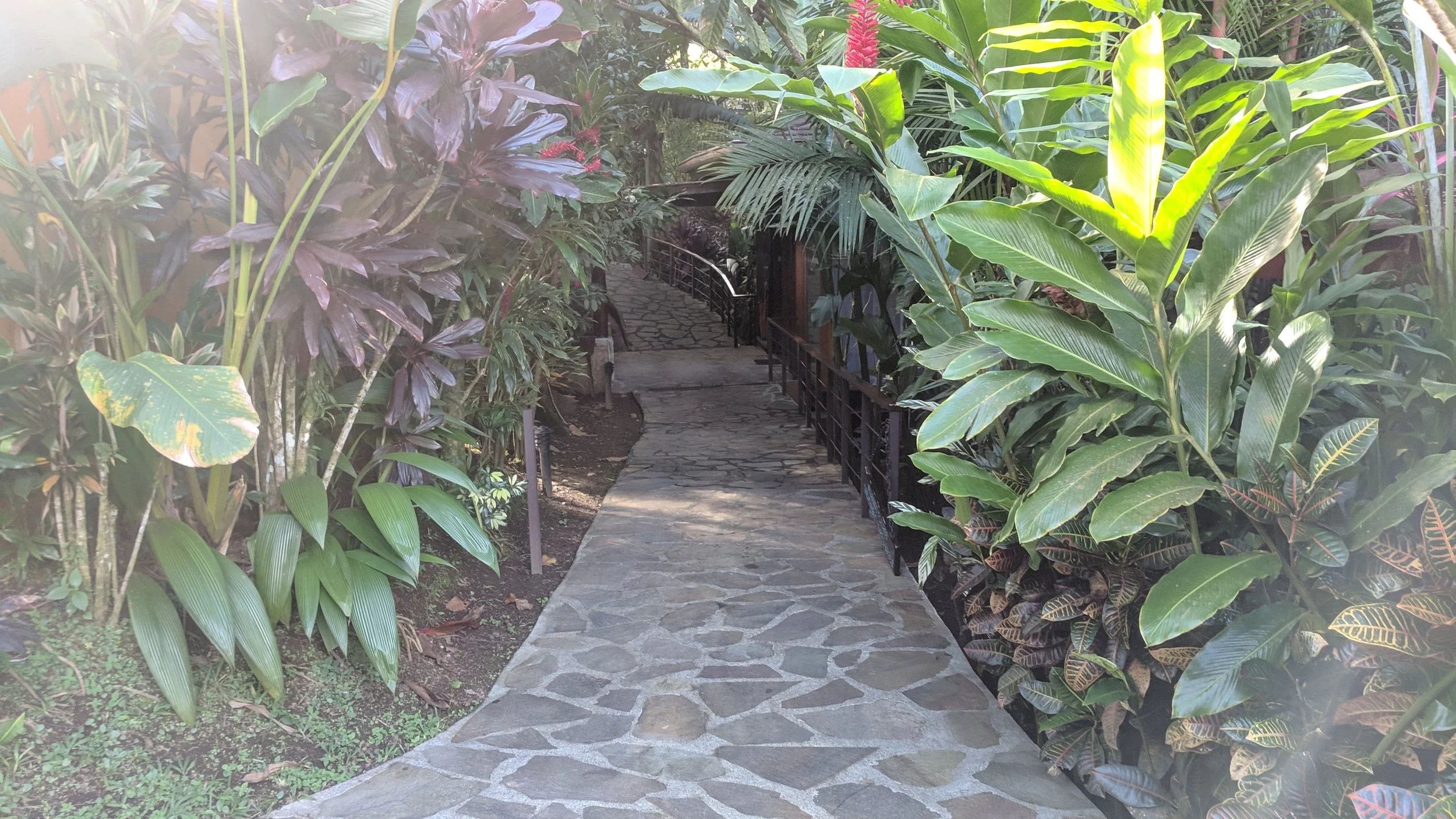 Paths around Nayara Springs