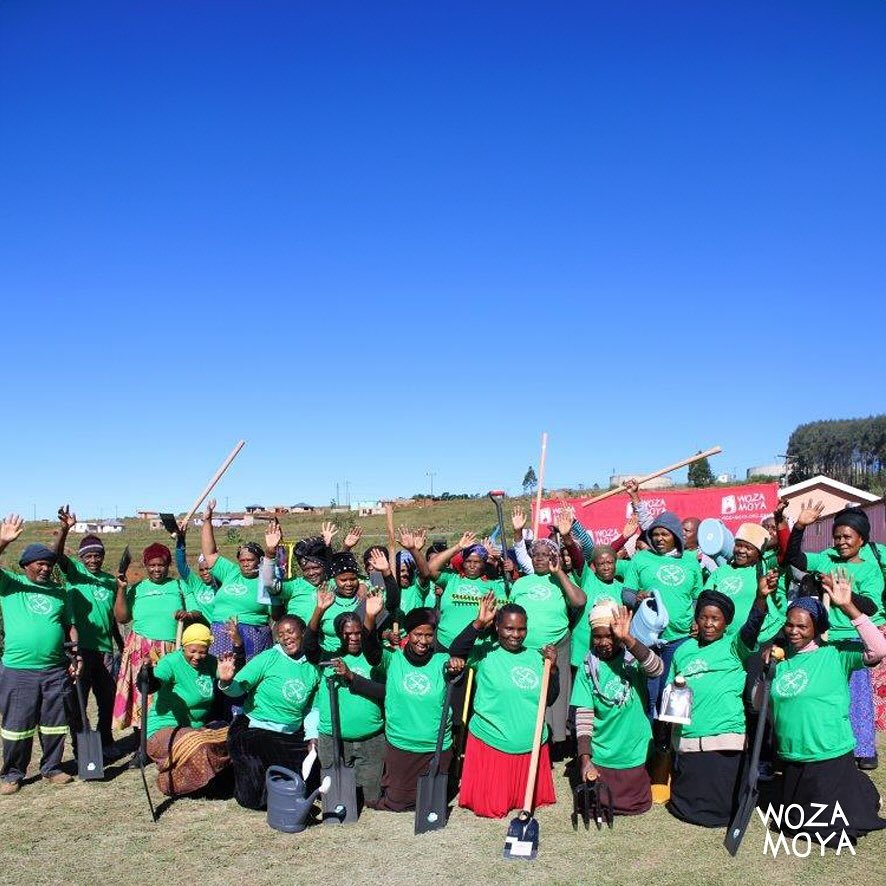 Last week, Woza Moya hosted a communal and home garden festival. The day was filled with pride and joy as all the Gardeners bought their fresh produce from their gardens. They supported each other by buying each other&rsquo;s vegetables and sharing t