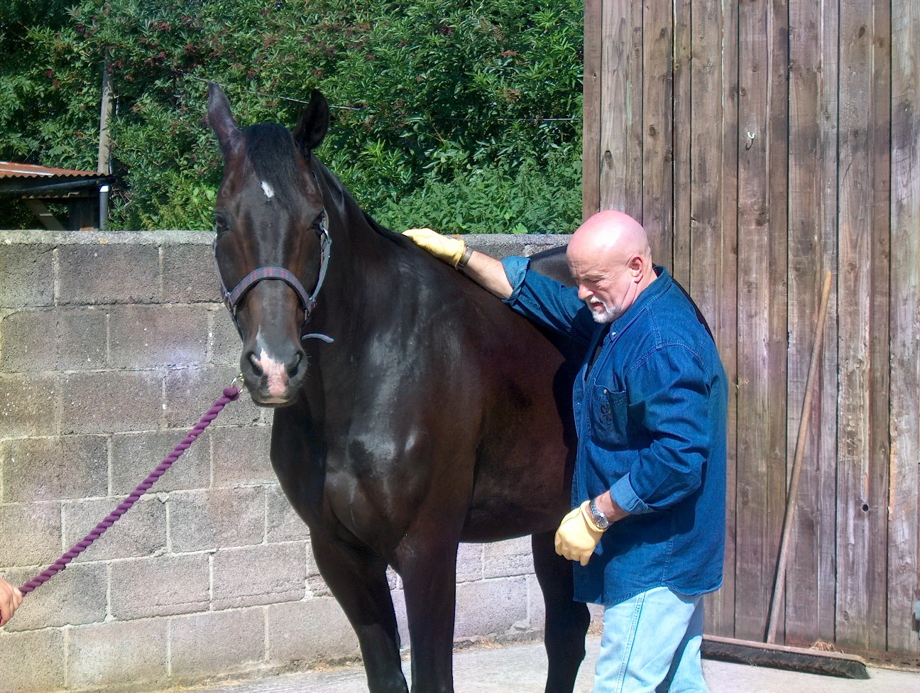 Jock teaching in Somerset