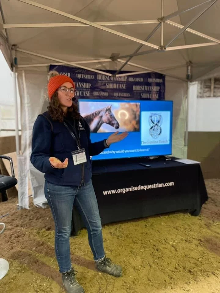 Equine Touch Goes All Out at The Horsemanship Showcase