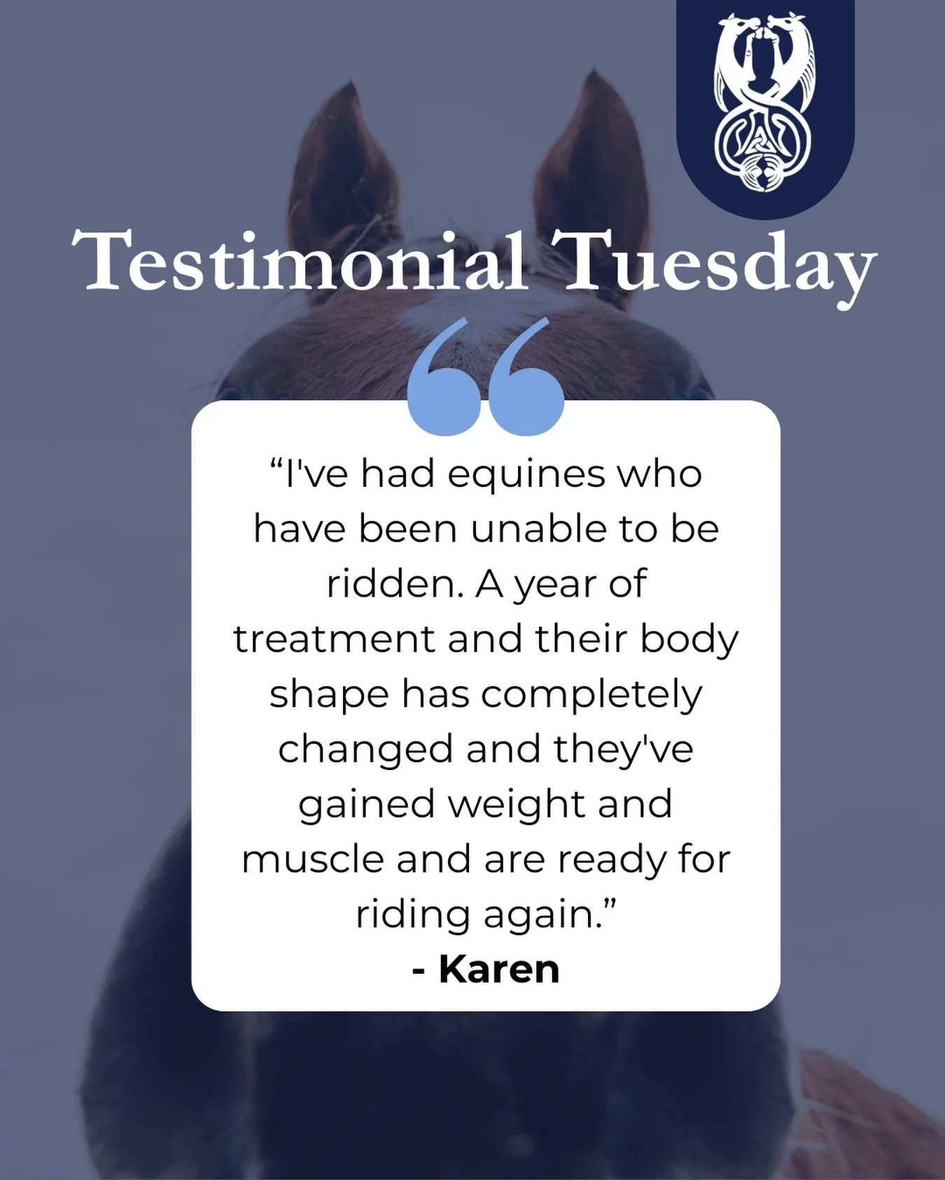 This week&rsquo;s testimonial is from Karen, who says: 

&ldquo;I have seen numerous changes in the equines I own (I own horses, donkeys and a mule) since Elaine, my equine touch Practitioner has worked with them. Physically, during the session it&rs