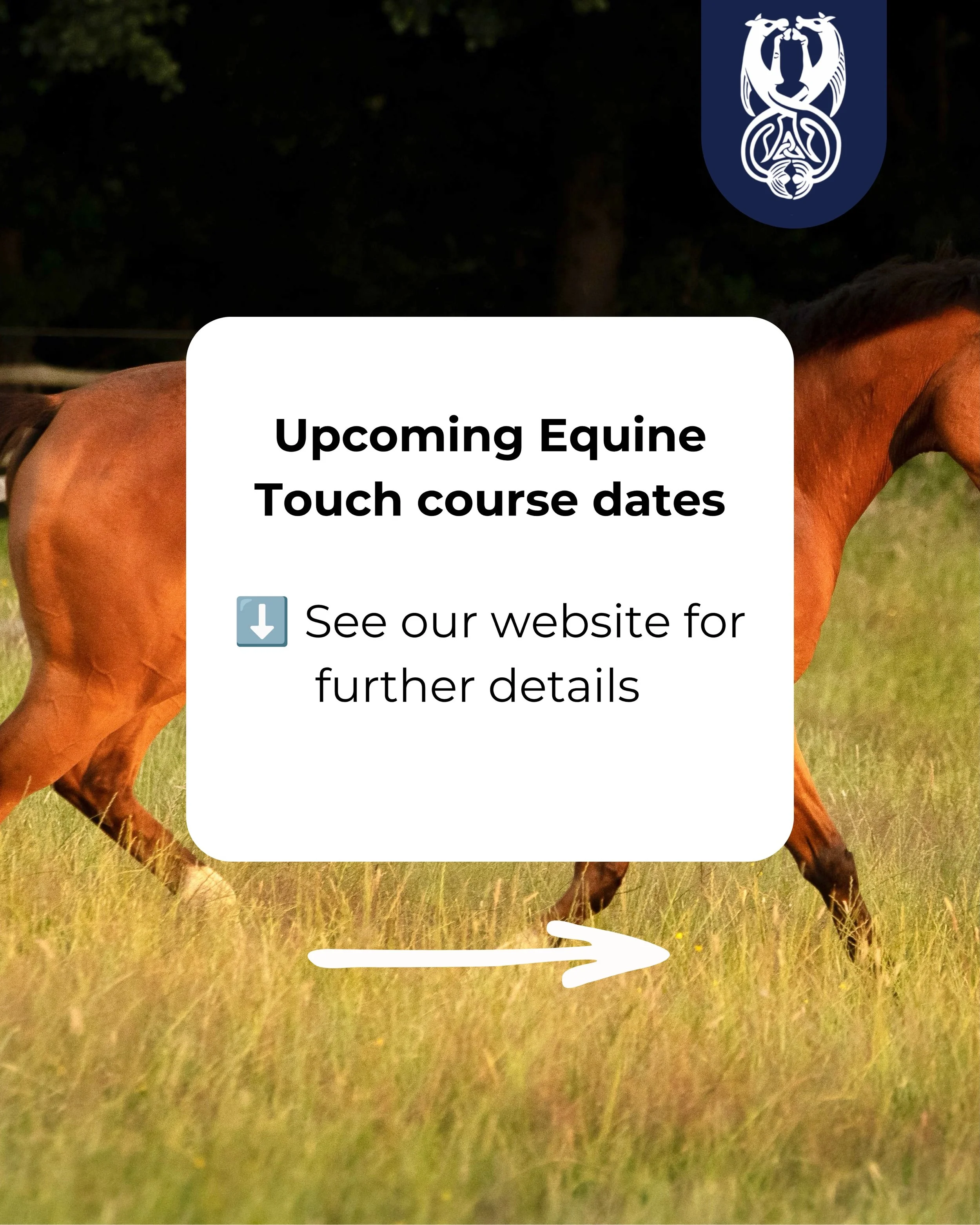 Thinking about joining an Equine Touch course? Here&rsquo;s a taster of what&rsquo;s coming up! 

Discover how the simple technique of Equine Touch can benefit your horse and bring about profound reactions. Some of the benefits of Equine Touch Includ