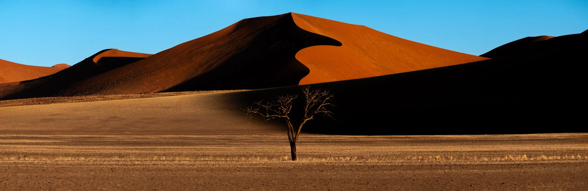 _GLH6525-Pano.jpg