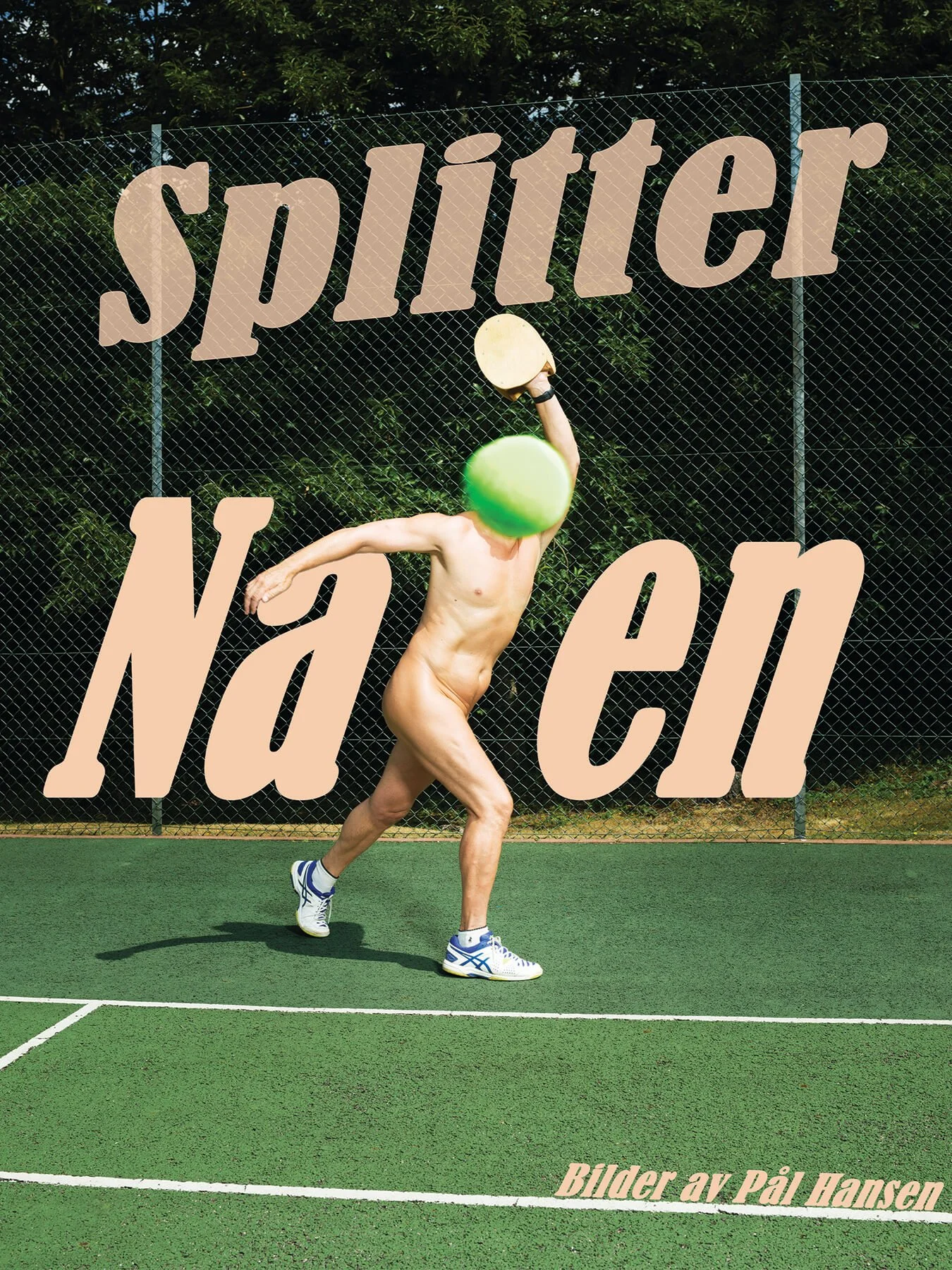 Splitter Naken - Oslo National Gallery