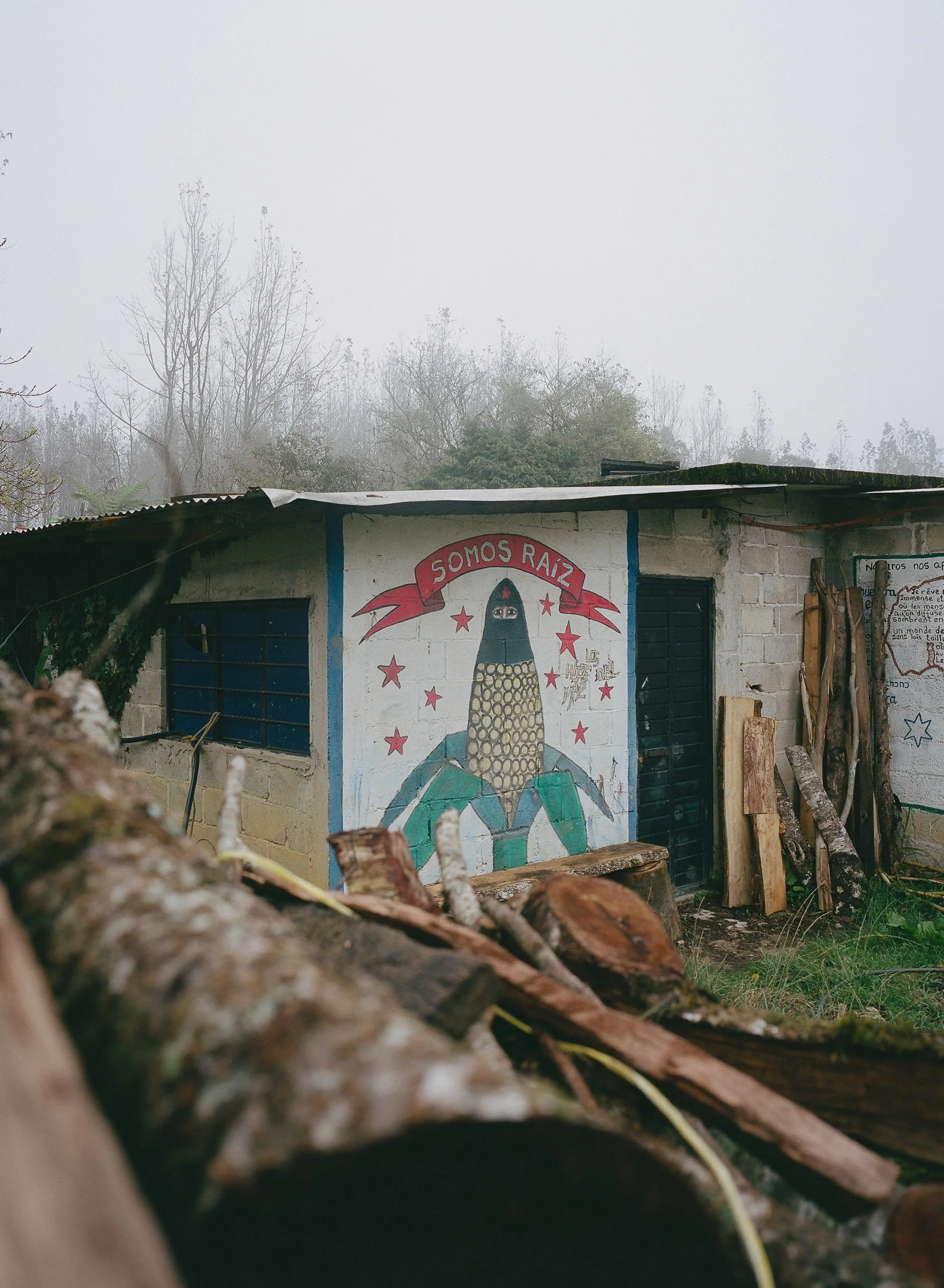 EZLN Film-1.jpg